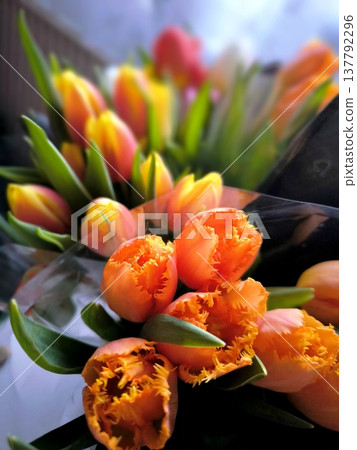 A close-up of a bouquet of bright orange fringed tulips A close-up of a bouquet of bright orange fringed tulips 137792296