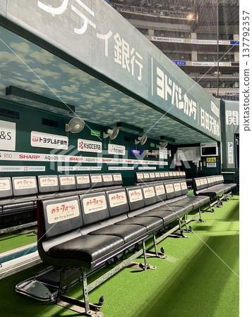 Professional baseball dugout bench and stadium scenery, vertical composition | Sports background, news, copy space, advertising material Professional baseball dugout bench and stadium scenery, vertical composition | Sports background, news, copy space, advertising material 137792357