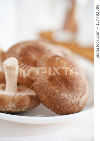 香菇 香菇 137792388