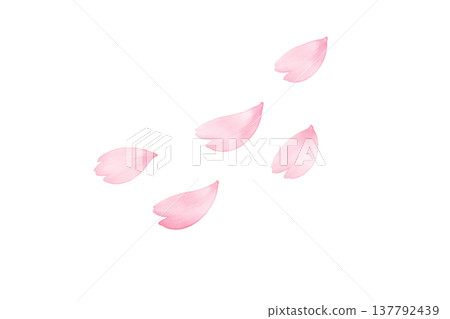 飄落的櫻花花瓣，櫻花暴雪，春季水彩插畫素材 137792439