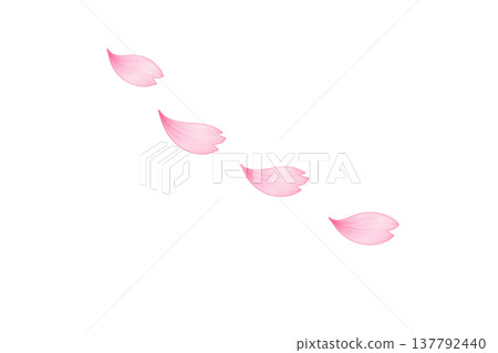 飄落的櫻花花瓣，櫻花暴雪，春季水彩插畫素材 137792440