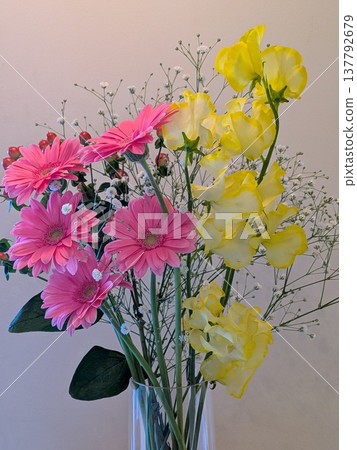 花 137792679