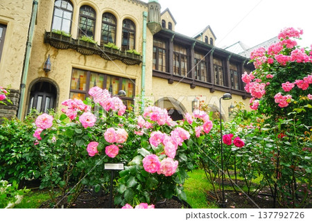 Western-style building and rose Western-style building and rose 137792726