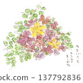 A watercolor illustration of early spring to spring scenery, featuring red wood sorrel flowers and vetch. 137792836