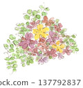 A watercolor illustration of early spring to spring scenery, featuring red wood sorrel flowers and vetch. 137792837