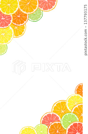 Frame of sliced citrus fruit_up, down, diagonal_vertical Frame of sliced citrus fruit_up, down, diagonal_vertical 137793175