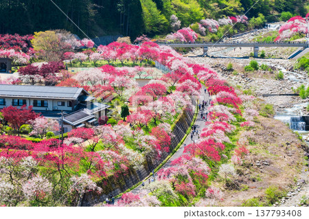 Achi Village, Hanamomo Village Achi Village, Hanamomo Village 137793408