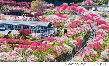 Achi Village, Hanamomo Village 137793411