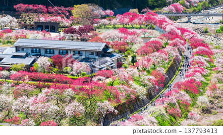 Achi Village, Hanamomo Village 137793413