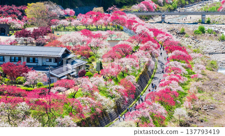 Achi Village, Hanamomo Village Achi Village, Hanamomo Village 137793419