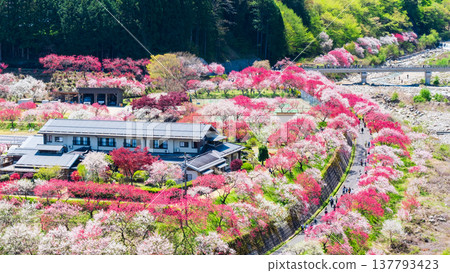 Achi Village, Hanamomo Village 137793423