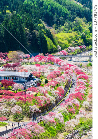 Achi Village, Hanamomo Village 137793478