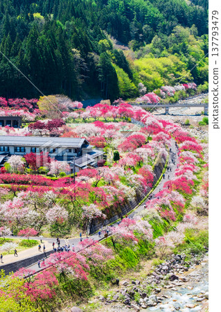 Achi Village, Hanamomo Village 137793479