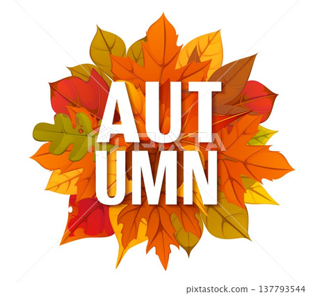 Autumn season fall leaves banner for autumnal holiday or Thanksgiving Day, vector poster. Autumn banner for greeting with maple, oak or rowan and birch tree leaf in fall foliage for harvest season 137793544