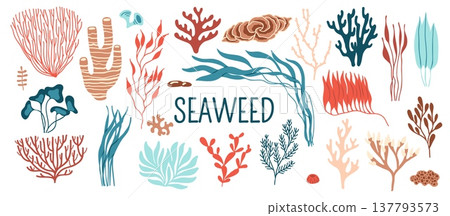 Underwater seaweed and sea algae plants vector icons. Ocean coral reef marine water alga weeds and corals, red and brown algae, kelp, seagrass and rhodymenia, laminaria and spirulina seaweeds set 137793573