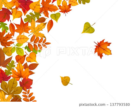 Autumn fall leaves poster or banner. Autumn seasonal vector banner or card. Thanksgiving festive flyer or poster with flying and falling linden, marple, oak and acacia tree leaves on white background Autumn fall leaves poster or banner. Autumn seasonal vector banner or card. Thanksgiving festive flyer or poster with flying and falling linden, marple, oak and acacia tree leaves on white background 137793580