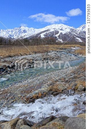 白馬山腳下的早春：山澗溪流與北阿爾卑斯山脈 137793633