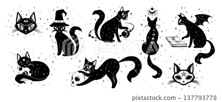 Tarot card black magic cats and mystic witch pet animals for esoteric, vector icons. Funny cats in witch hats playing with skull or celestial planets and pentagram stars in Boho design for Tarot cards 137793778