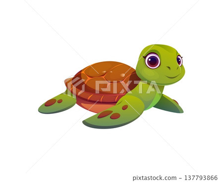 Pirate icon of cartoon sea turtle character or funny ocean animal, vector personage. Caribbean pirate adventure character of cute little turtle and underwater creature for undersea game asset element 137793866