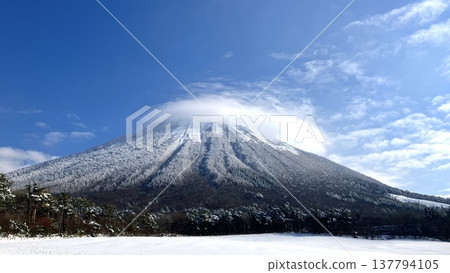 Hoki Fuji Hoki Fuji 137794105