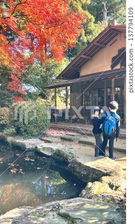 熊野大神社:孩童與秋葉 熊野大神社:孩童與秋葉 137794109