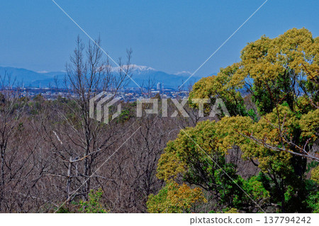 白雪皚皚的山峰，遠眺禦嶽山 137794242