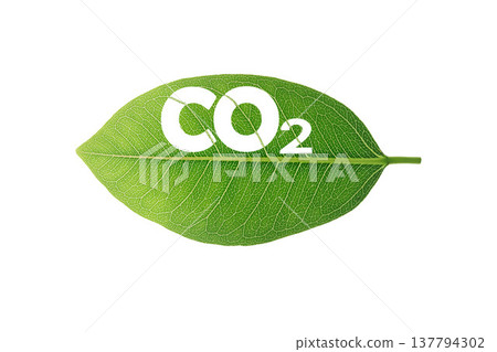 green leaf, co2 symbol isolated on White background. Reduce CO2 emission concept.Clean and friendly environment without carbon dioxide emissions.With clipping path. green leaf, co2 symbol isolated on White background. Reduce CO2 emission concept.Clean and friendly environment without carbon dioxide emissions.With clipping path. 137794302