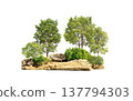 Group of tree. Green treeline isolated on white background. 137794303
