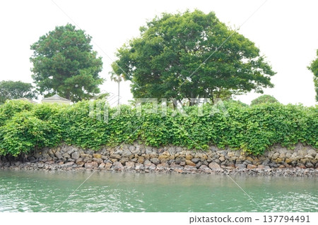 A natural landscape featuring stone walls along the river and lush green trees. A harmonious blend of tranquil watersides and vegetation, typical of Japanese parks and rivers. 137794491