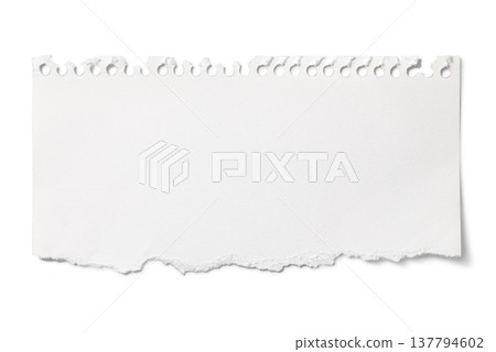 The texture of torn notepad or scraps of sketchbook paper. The texture of torn notepad or scraps of sketchbook paper. 137794602