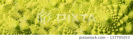Broccoli, Romanesco broccoli 137795053