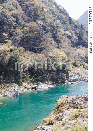 春天的大步峽、小步峽和吉野川 137795184