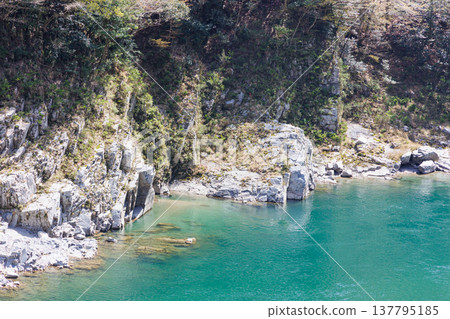 春天的大步峽、小步峽和吉野川 137795185