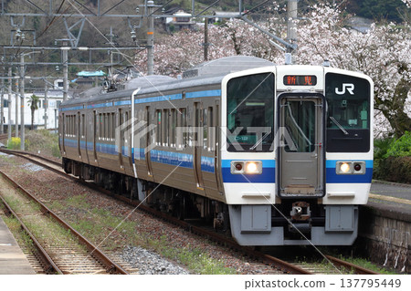 Hakubi Line 213 series train arriving at Kinoyama Station in spring Hakubi Line 213 series train arriving at Kinoyama Station in spring 137795449