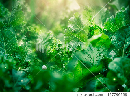 Green smoothie image Green smoothie image 137796368