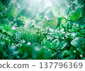 綠色 - 綠色果汁圖片 綠色 - 綠色果汁圖片 137796369