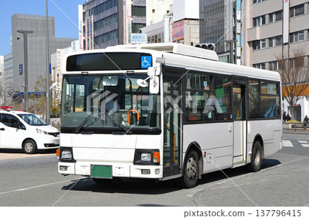 定時巴士 定時巴士 137796415