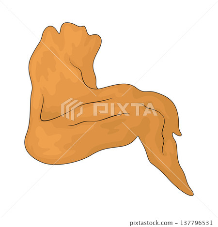Illustration of Chicken Wing 137796531