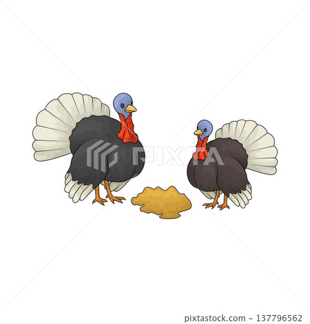 Illustration of turkey 137796562