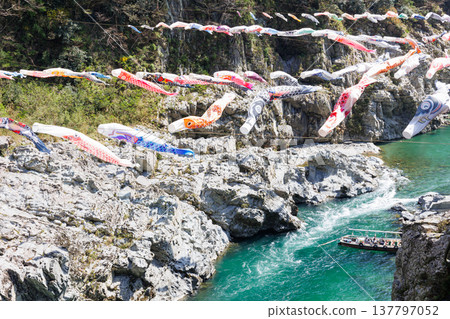 鯉魚擬餌與奧博克、科博克的春日景色 137797052