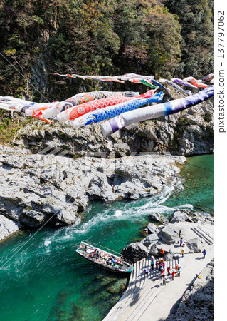 鯉魚擬餌與奧博克、科博克的春日景色 137797062