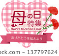 母親節紅色康乃馨，心形格紋橫幅 137797624