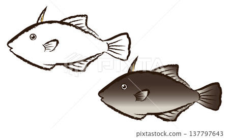 Uma Tsuruhagi 137797643