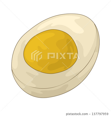 Illustration of Hard Boiled Egg Illustration of Hard Boiled Egg 137797959