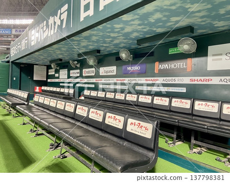 Professional baseball dugout bench, right-angle, horizontal composition | Eye-tracking, web, sports background, copy space material Professional baseball dugout bench, right-angle, horizontal composition | Eye-tracking, web, sports background, copy space material 137798381