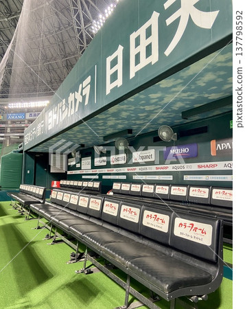 Professional baseball dugout bench, right angle, vertical composition | Eye-tracking, web, sports background, copy space material Professional baseball dugout bench, right angle, vertical composition | Eye-tracking, web, sports background, copy space material 137798592