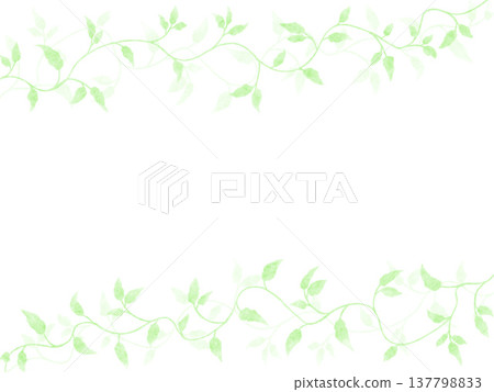Leaf Background 137798833
