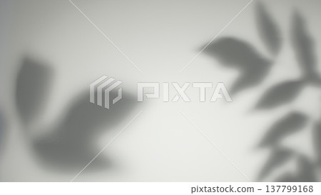 Tropical leaves. Plant shade. Defocused gray exotic nature foliage overlay environmental abstract background. Tropical leaves. Plant shade. Defocused gray exotic nature foliage overlay environmental abstract background. 137799168