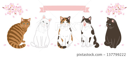 Header design featuring cherry blossoms and cats Header design featuring cherry blossoms and cats 137799222