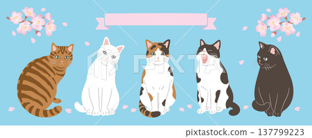 Header design featuring cherry blossoms and cats 137799223